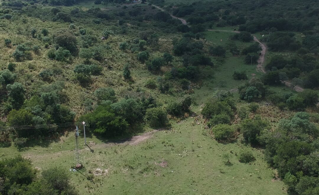 imagen del video
