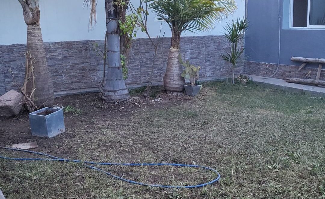 imagen del video