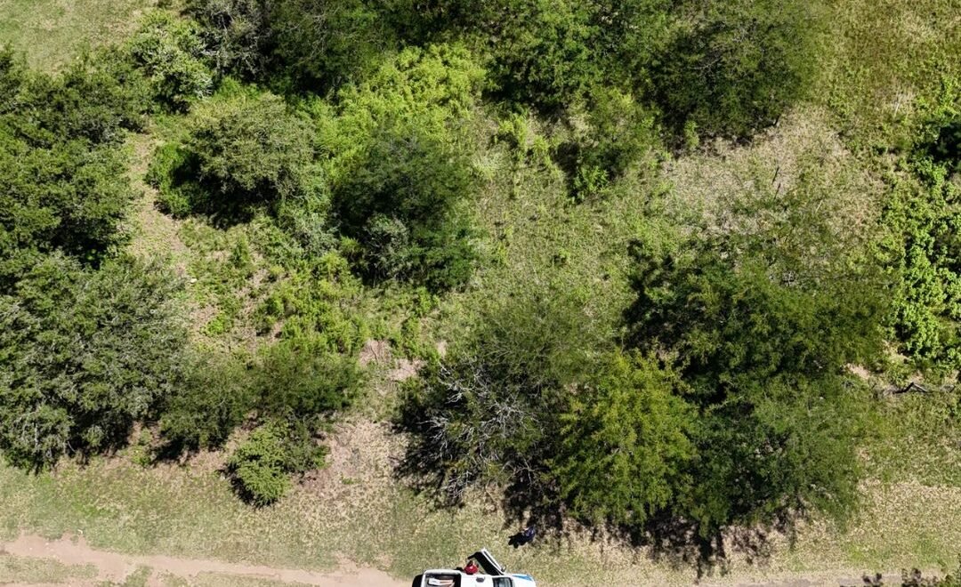 imagen del video