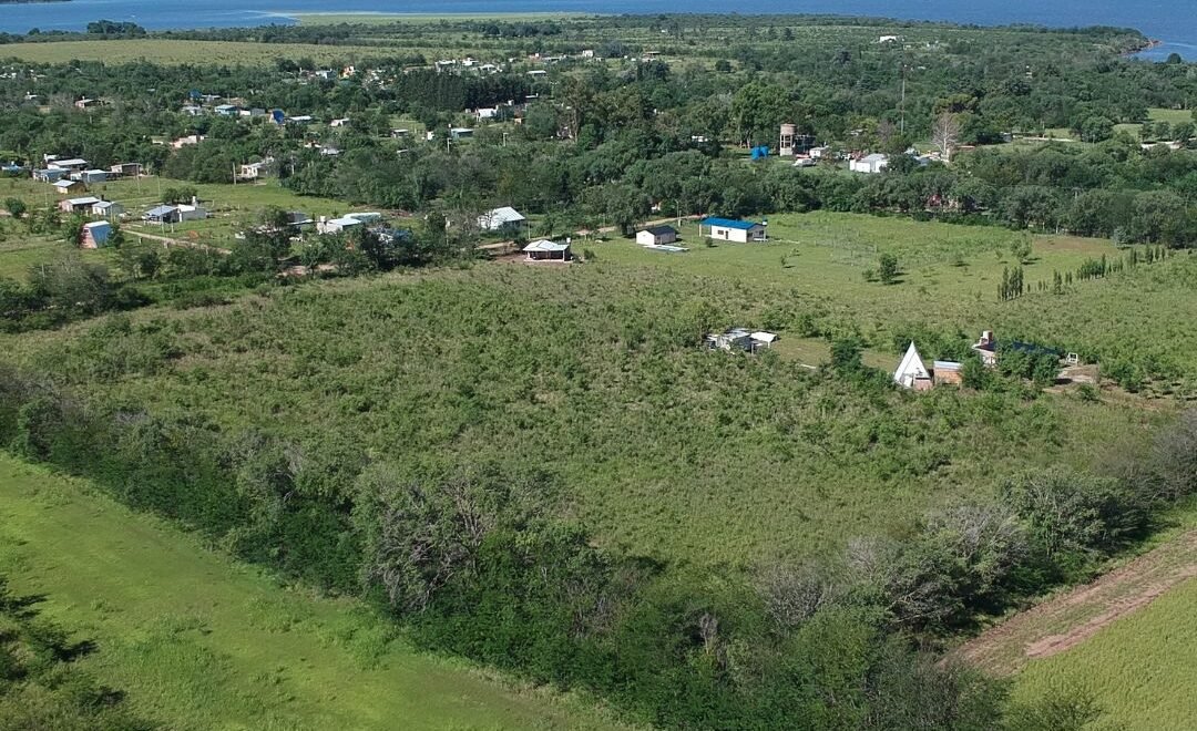 imagen del video