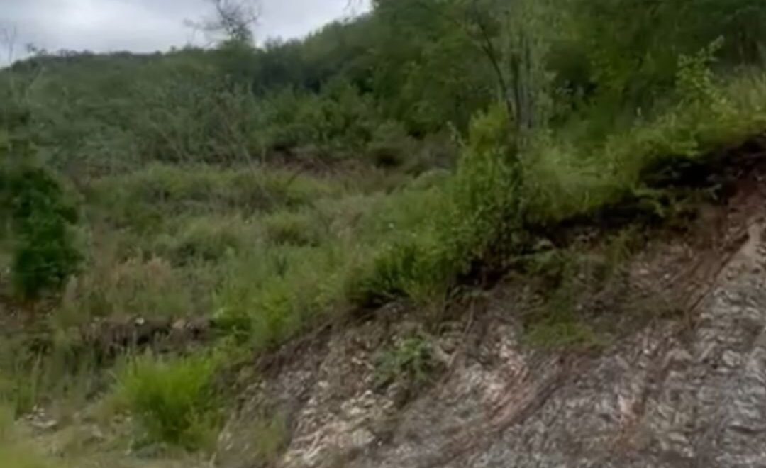 imagen del video